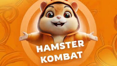 Hamster-Kombat-app